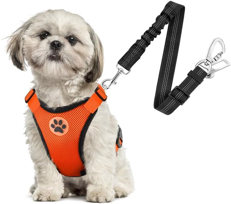 SlowTon Dog Seat Belt Harness for Car, Dog Car Harness Adjustable Mesh Breathable & Dog Seatbelt Safety Tether with Elastic Bungee for Small Medium Large Pets(Orange, Double Clip, XS) - Pet Explorer