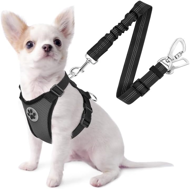 SlowTon Dog Seat Belt Harness for Car, Dog Car Harness Adjustable Mesh Breathable & Dog Seatbelt Safety Tether with Elastic Bungee for Small Medium Large Pets(Grey, Double Clip, XXS) - Pet Explorer