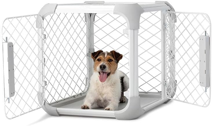 DIGGS Evolv Dog Crate - Slim, Durable Dog Kennel with Removable Ceiling Panel and Modular Design - Safe, Stylish, and Convenient (Ash, Small) - Pet Explorer