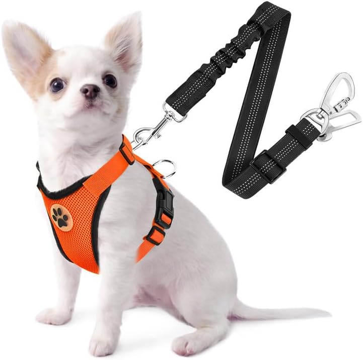 SlowTon Dog Seat Belt Harness for Car, Dog Car Harness Adjustable Mesh Breathable & Dog Seatbelt Safety Tether with Elastic Bungee for Small Medium Large Pets(Orange, Double Clip, XXS) - Pet Explorer