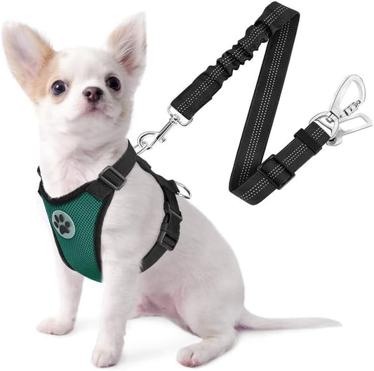 SlowTon Dog Seat Belt Harness for Car, Dog Car Harness Adjustable Mesh Breathable & Dog Seatbelt Safety Tether with Elastic Bungee for Small Medium Large Pets(Green, Double Clip, XXS) - Pet Explorer