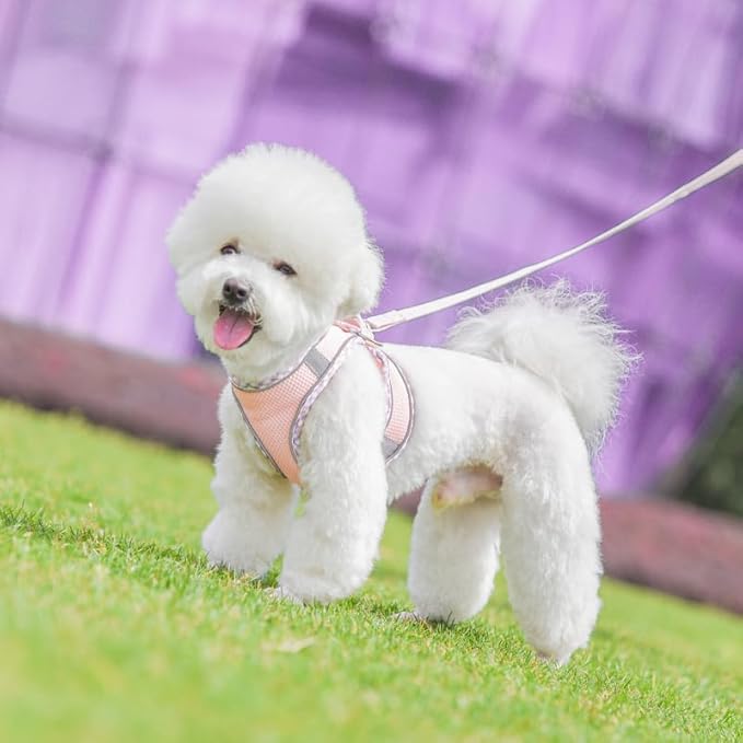 Purple XS Step-in Vest Harness and Leash Set - No Pull Adjustable Reflective Pet Harness for Small Dogs and Cats - Easy Walk, Outdoor Hiking, Training
