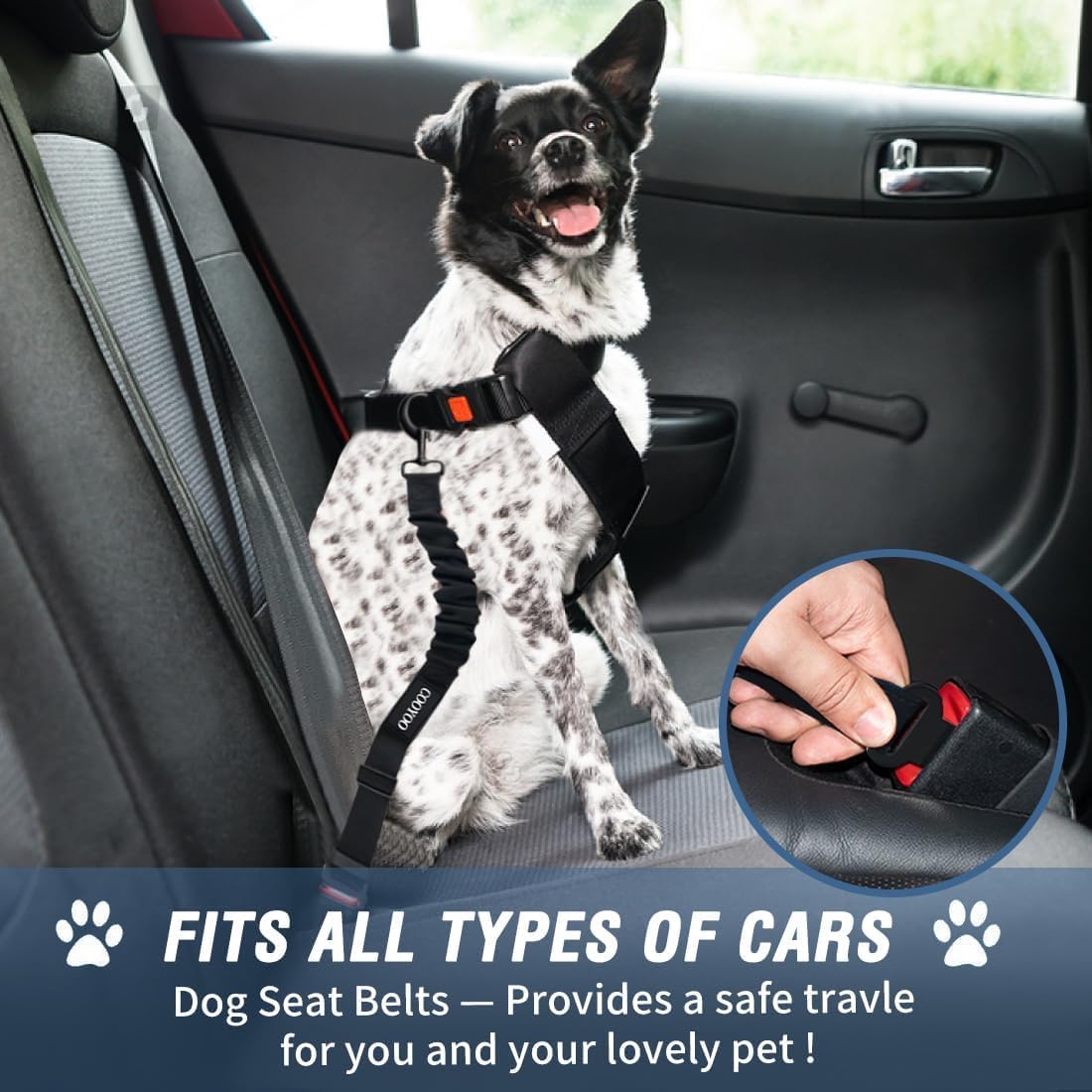 COOYOO Dog Seat Belt,Retractable Dog Car Harness Seat Belt for Car Adjustable Nylon Pet Safety Seat Belts Heavy Duty & Elastic Bungee Buffer - Pet Explorer