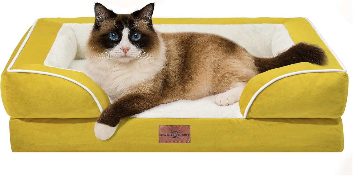 Comfort Expression Small Dog Beds Waterproof Cat Beds Orthopedic Foam Sofa Beds for Small Dogs Comfy Pet Bed with Washable Removable Cover & Non-Slip Bottom(XX-Small,Spicy Mustard) - Pet Explorer