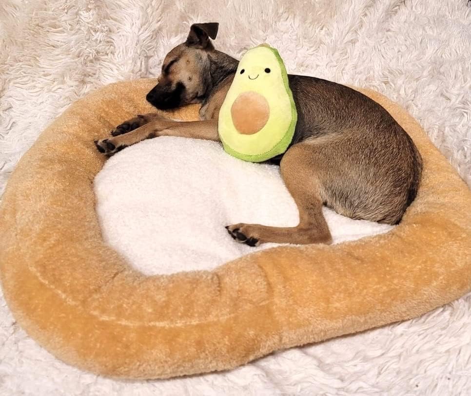 TONBO Soft Plush Small Cute and Cozy Food Dog Cat Bed, Washer and Dryer Friendly (Avocado Toast) - Pet Explorer
