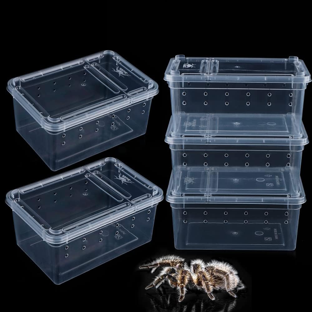 5 Pcs Spider Small Terrariums Breeding Box Transparent Hatching Container Plastic Feeding Box for Small Reptile Spider Scorpion Centipede Insect - Pet Explorer