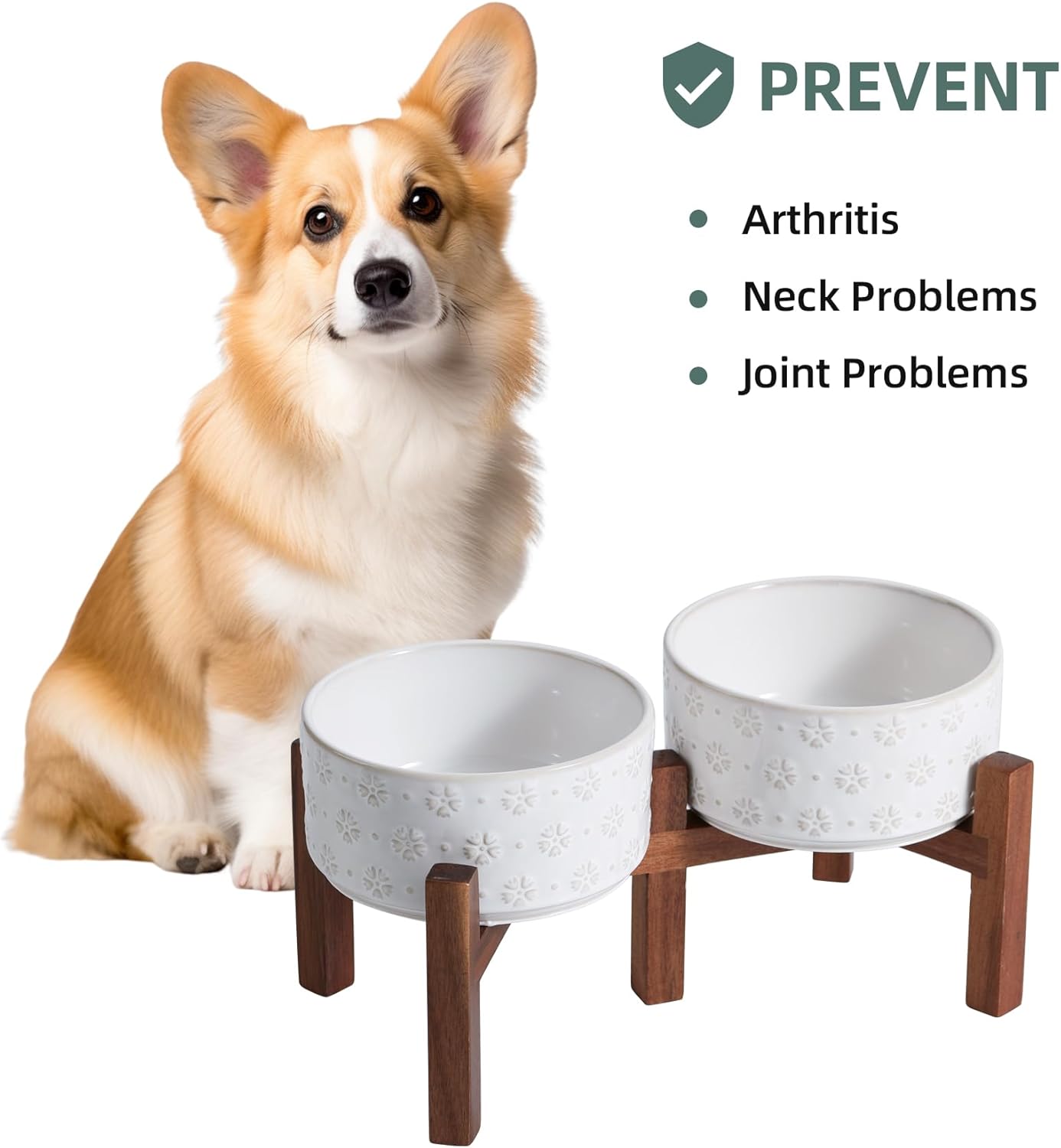 6.1inch Ceramic Raised Double Bowls Set with Acacia Wood Stand, 2 Heights Elevated, Food & Water Bowls for Small Breed Dogs, Weighted Dog Dishes, Pet Bowl(27oz, Arctic White) - Pet Explorer