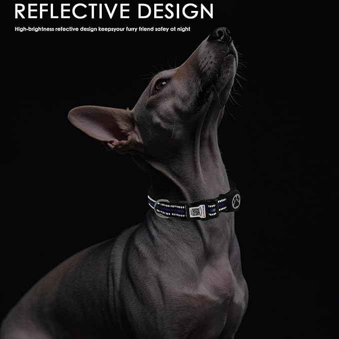 Reflective Dog Collar with QR Code, with Waterproof Holder, Soft Padded, Safety Locking Buckle, Durable, Adjustable & Free Pet Online Profile (Blue,M)