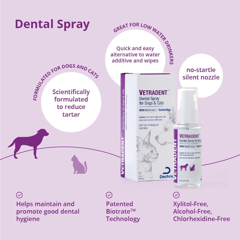 Dental Spray for Dogs and Cats, 2 oz - Pet Explorer