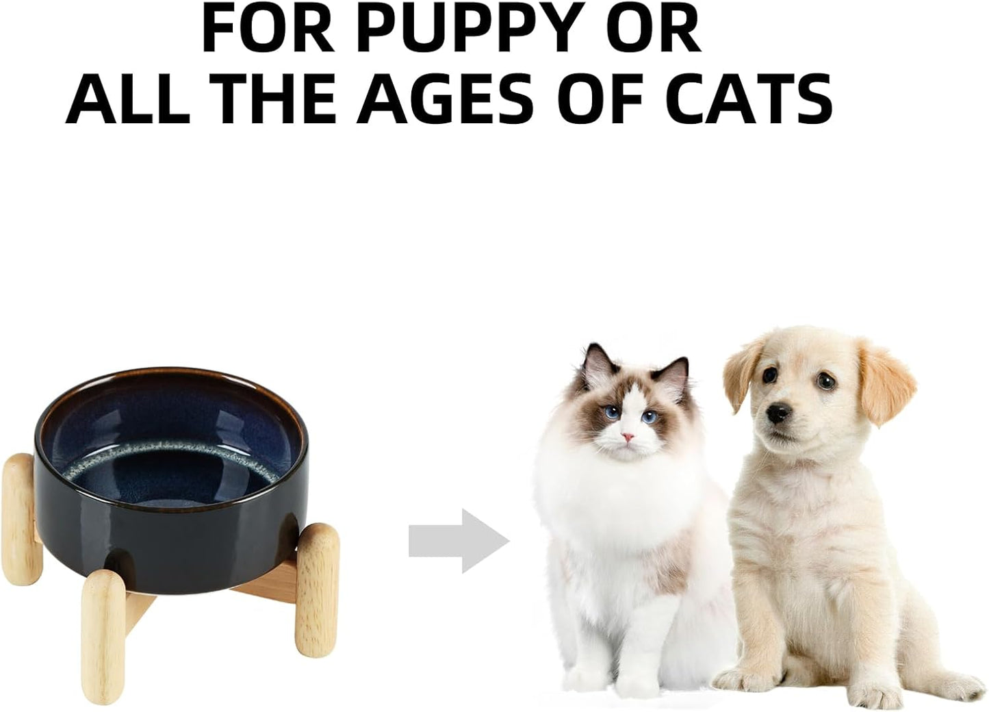 Ceramic 5.1inch Raised Dog and Cat Bowl Set, Elevated with Wooden Stand, Food and Water Bowl for Small Breed Dogs, Cats, Kitty, Weighted Dog Dishes, Pet Bowls(13.5oz, Starry Sky) - Pet Explorer