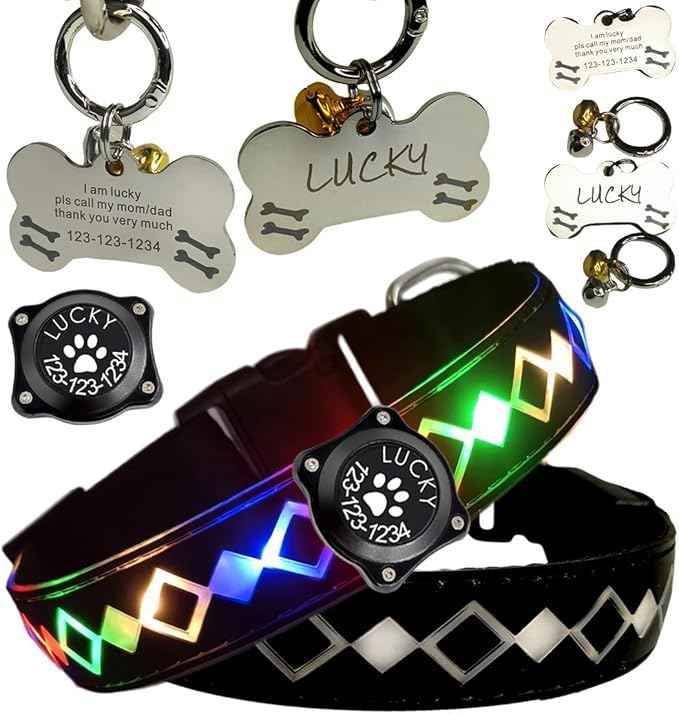 LED Dog Collar with AirTag Holder and Custom ID Tag, 15 Light Modes, Waterproof, Multiple Colors (BLACK Pro, S(7.87-11.8"))