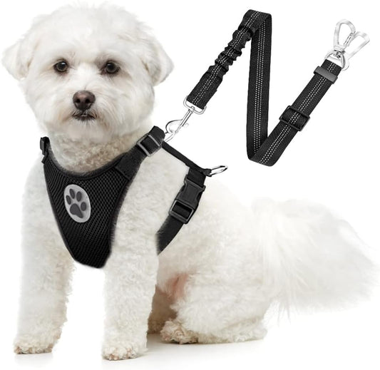 SlowTon Dog Seat Belt Harness for Car, Dog Car Harness Adjustable Mesh Breathable & Dog Seatbelt Safety Tether with Elastic Bungee for Small Medium Large Pets(Black, Double Clip, XXXS) - Pet Explorer