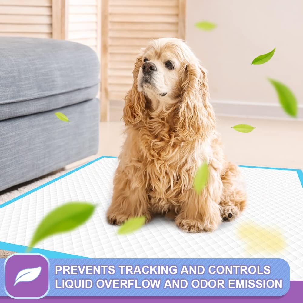 IMMCUTE Puppy Pee Pads 22"x23"-80Count | Dog Pee Training Pads Super Absorbent & Leak-Proof | Disposable Pet Piddle and Potty Pads for Puppies | Dogs | Doggie| Cats | Rabbits - Pet Explorer