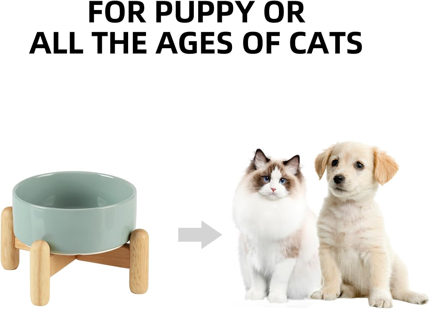 Ceramic 5.1inch Raised Dog and Cat Bowl Set, Elevated with Wooden Stand, Food and Water Bowl for Small Breed Dogs, Cats, Kitty, Weighted Dog Dishes, Pet Bowls(13.5oz, Light Green) - Pet Explorer