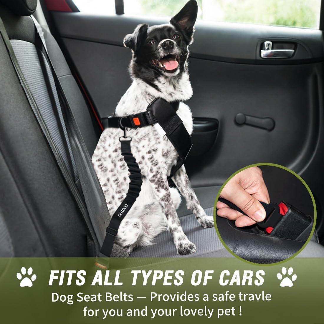 COOYOO Dog Seat Belt,Retractable Dog Car Harness Seat Belt for Car Adjustable Nylon Pet Safety Seat Belts Heavy Duty & Elastic Bungee Buffer - Pet Explorer