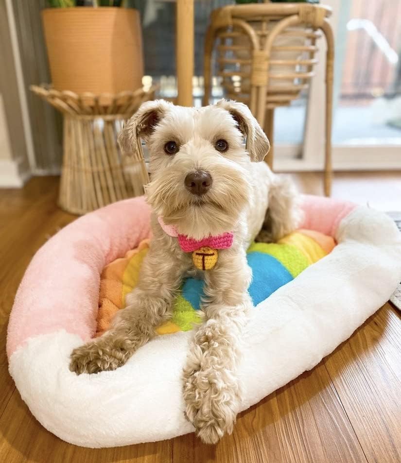 TONBO Soft Plush Small Cute and Cozy Nature Dog Cat Bed, Washer and Dryer Friendly (Rainbow) - Pet Explorer