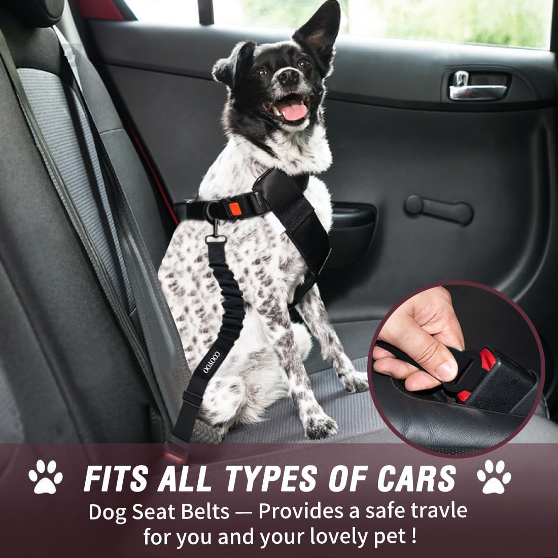 COOYOO Dog Seat Belt,3 Piece Set Retractable Dog Car Adjustable Seatbelts for Vehicle Nylon Pet Safety Heavy Duty & Elastic & Durable Car Harness for Dogs - Pet Explorer