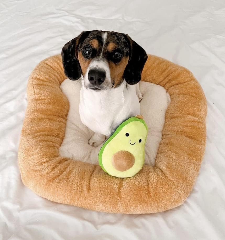 TONBO Soft Plush Small Cute and Cozy Food Dog Cat Bed, Washer and Dryer Friendly (Avocado Toast) - Pet Explorer