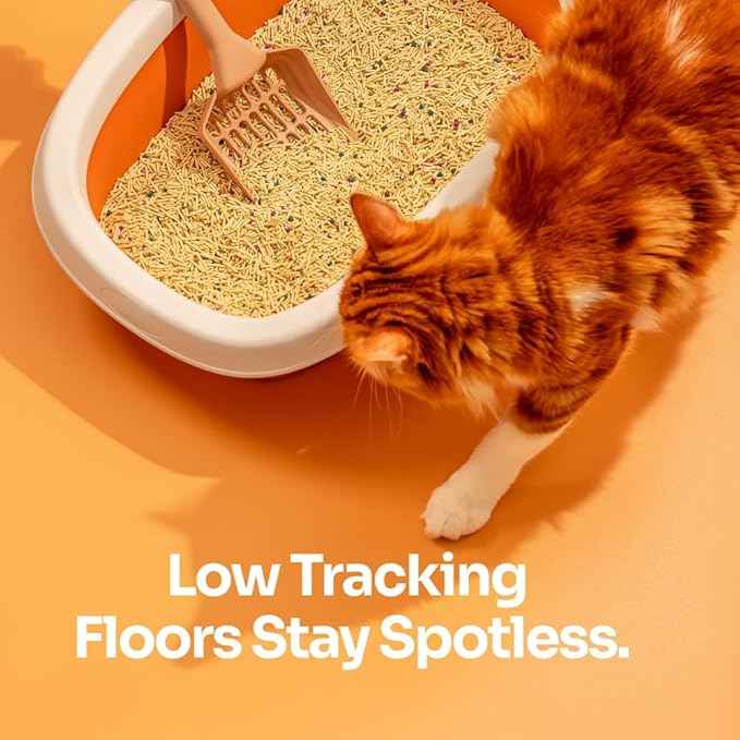 Tofu Cat Litter – Clumping, Flushable, Ultra Absorbent & Fast Drying | 100% Natural, Dust-Free, Low Tracking | Water-Soluble & Eco-Friendly (2.5 lbs x 1 Bag)