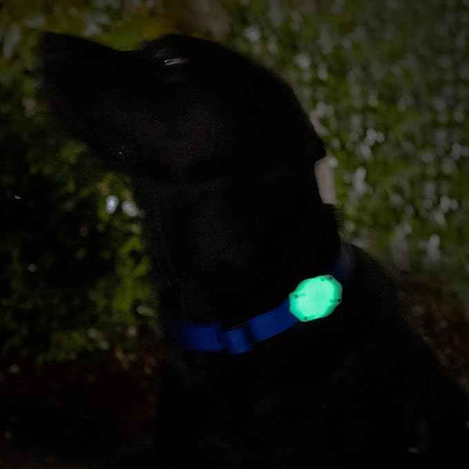 Elevation Lab AirTag Dog Collar Holder - TagVault - IP68 Waterproof, Doesn't Dangle, Fits All Width Collars Glow in The Dark (2 Pack)
