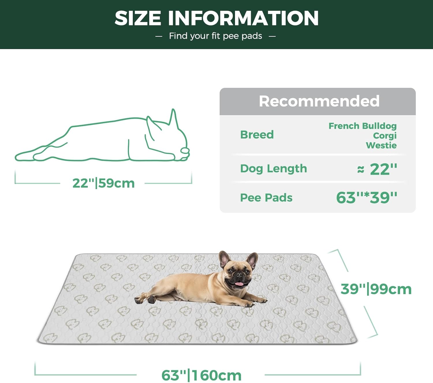 FXW Washable Pee Pads for Dogs, Puppy Pads with Super Absorbent, Specifically Designed for FXW Rollick/Homeplus 24inch 6 Panels Dog Playpen, 63" × 39" Rectangle, Khaki, 1 Pack - Pet Explorer