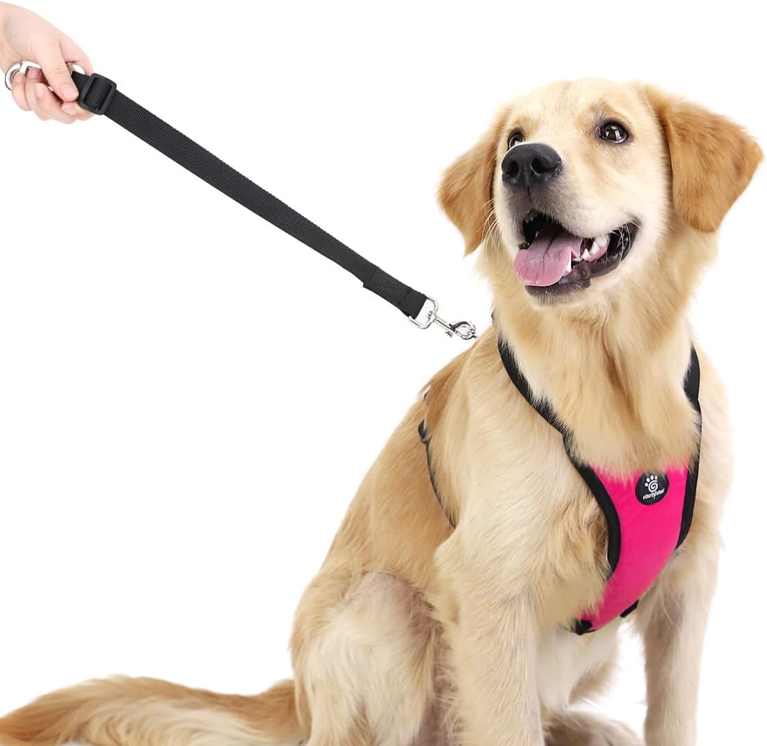 Dog Seat Belt, Safety Vest Dog Car Harness with Adjustable Buckle Dog Seat Belt for Vehicle Nylon Pet Safety Seat Belts Heavy Duty(S, Magenta) - Pet Explorer