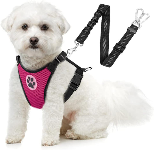 SlowTon Dog Seat Belt Harness for Car, Dog Car Harness Adjustable Mesh Breathable & Dog Seatbelt Safety Tether with Elastic Bungee for Small Medium Large Pets(Fuchsia, Double Clip, XS) - Pet Explorer