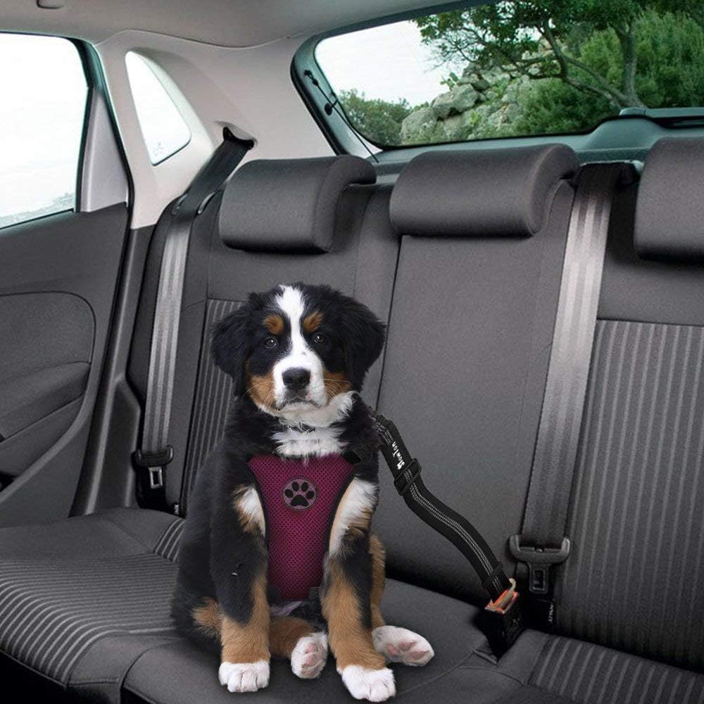 SlowTon Dog Seat Belt Harness for Car, Dog Car Harness Adjustable Mesh Breathable & Dog Seatbelt Safety Tether with Elastic Bungee for Small Medium Large Pets(Burgundy, Single Clip, L) - Pet Explorer