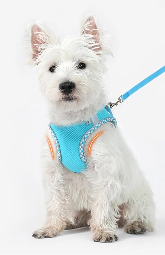 Dog Harness and Leash Set, No Pull Adjustable Reflective Pet Harness, Mesh Dog Harness, Step in Vest Harness Easy Walk Puppy Harness Outdoor Hiking Training for Small Medium Dogs, Cats(Black, M)