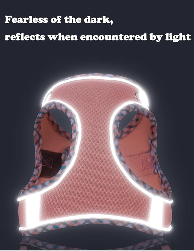 Dog Harness and Leash Set, No Pull Adjustable Reflective Pet Harness for Small Medium Dogs, Step in Vest Harness Easy Walk Dog Harness Outdoor Hiking Training for Small Dogs, Cats(Blue, XS)