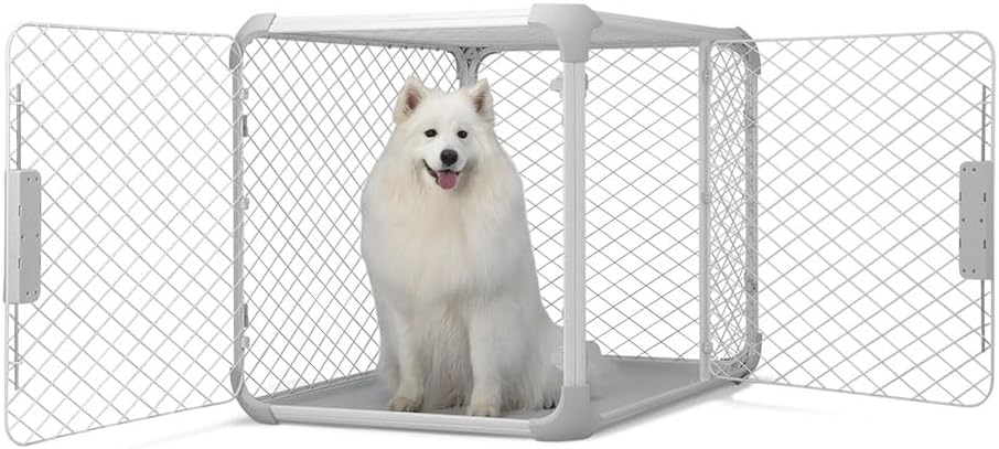 DIGGS Evolv Dog Crate - Slim, Durable Dog Kennel with Removable Ceiling Panel and Modular Design - Safe, Stylish, Convenient (Ash, Large) - Pet Explorer