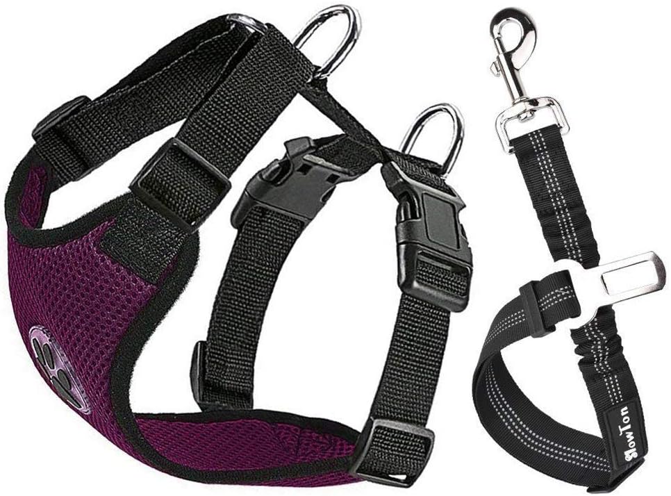 SlowTon Dog Seat Belt Harness for Car, Dog Car Harness Adjustable Mesh Breathable & Dog Seatbelt Safety Tether with Elastic Bungee for Small Medium Large Pets(Burgundy, Single Clip, L) - Pet Explorer