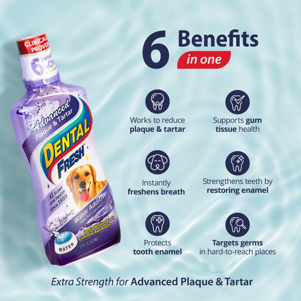 Dental Fresh Advanced Plaque and Tartar Water Additive, 32oz – Dog Teeth Cleaning Formula to Freshen Breath and Improve Cat & Dog Dental Care - Pet Explorer