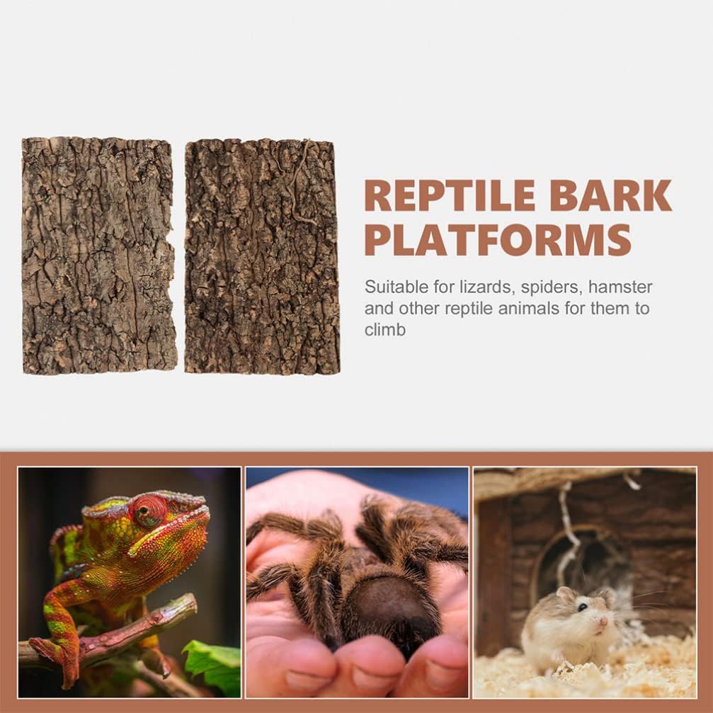 Totority Cork Bark 3Pcs Plants Decor Cork Terrarium Background, Cork Tile Background Decorative Tree Bark Adornment Reptile Climbing Plaything for Gecko Lizard Tortoise Frog Bearded Dragon Tank Access - Pet Explorer