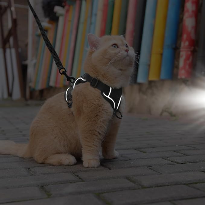 Cat Harness and Leash Set: Upgraded Escape Proof Vest with Lead for Large Cat Small Dog Puppy Walking, Soft Jacket Reflective Strips, Black (M)