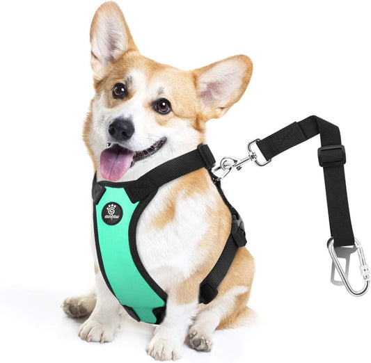 Dog Seat Belt, Safety Vest Dog Car Harness with Adjustable Buckle Dog Seat Belt for Vehicle Nylon Pet Safety Seat Belts Heavy Duty(M, Lake Blue) - Pet Explorer