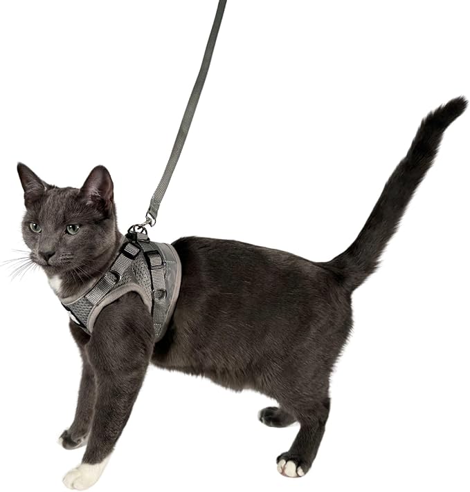 Travel Cat Harness and Leash Set - Adjustable Fit Mesh Cat Harness and Reflective Strap - Comfort Walking Vest for Kitten for Outdoor Walking, Hiking (Medium, Grey)
