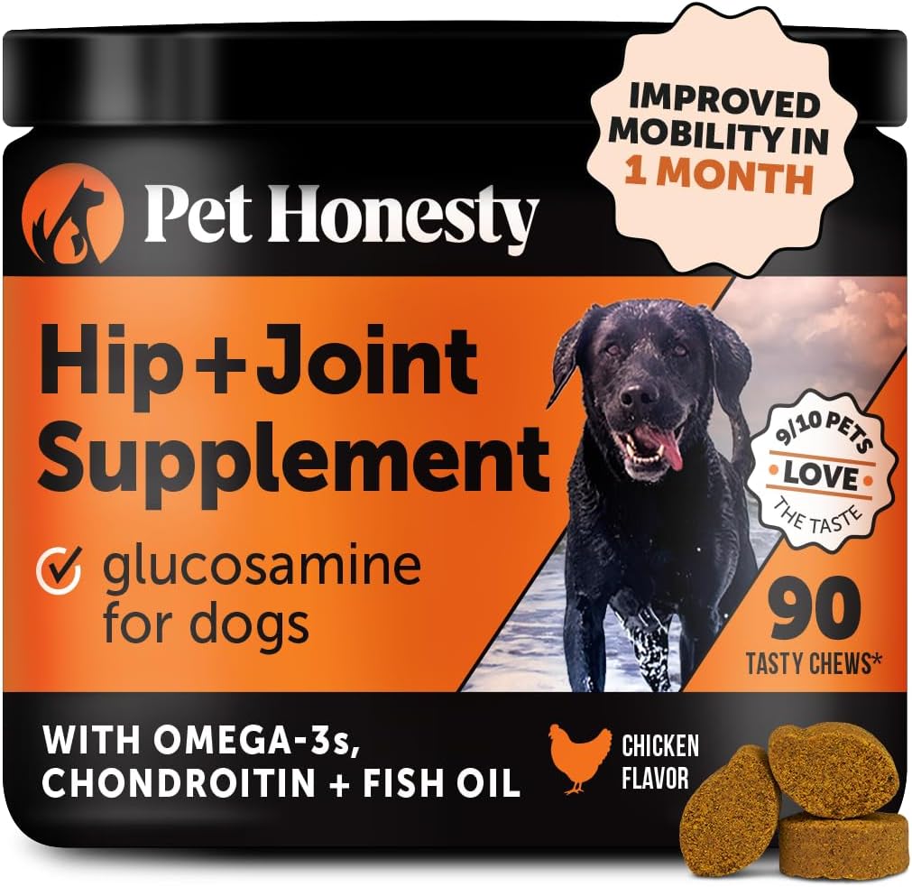 Hip & Joint Health - Glucosamine for Dogs Soft Chews, Joint Supplement for Dogs with Glucosamine Chondroitin, MSM, Turmeric, Anti Inflammatory, Support + Mobility (Chicken 90ct) - Pet Explorer