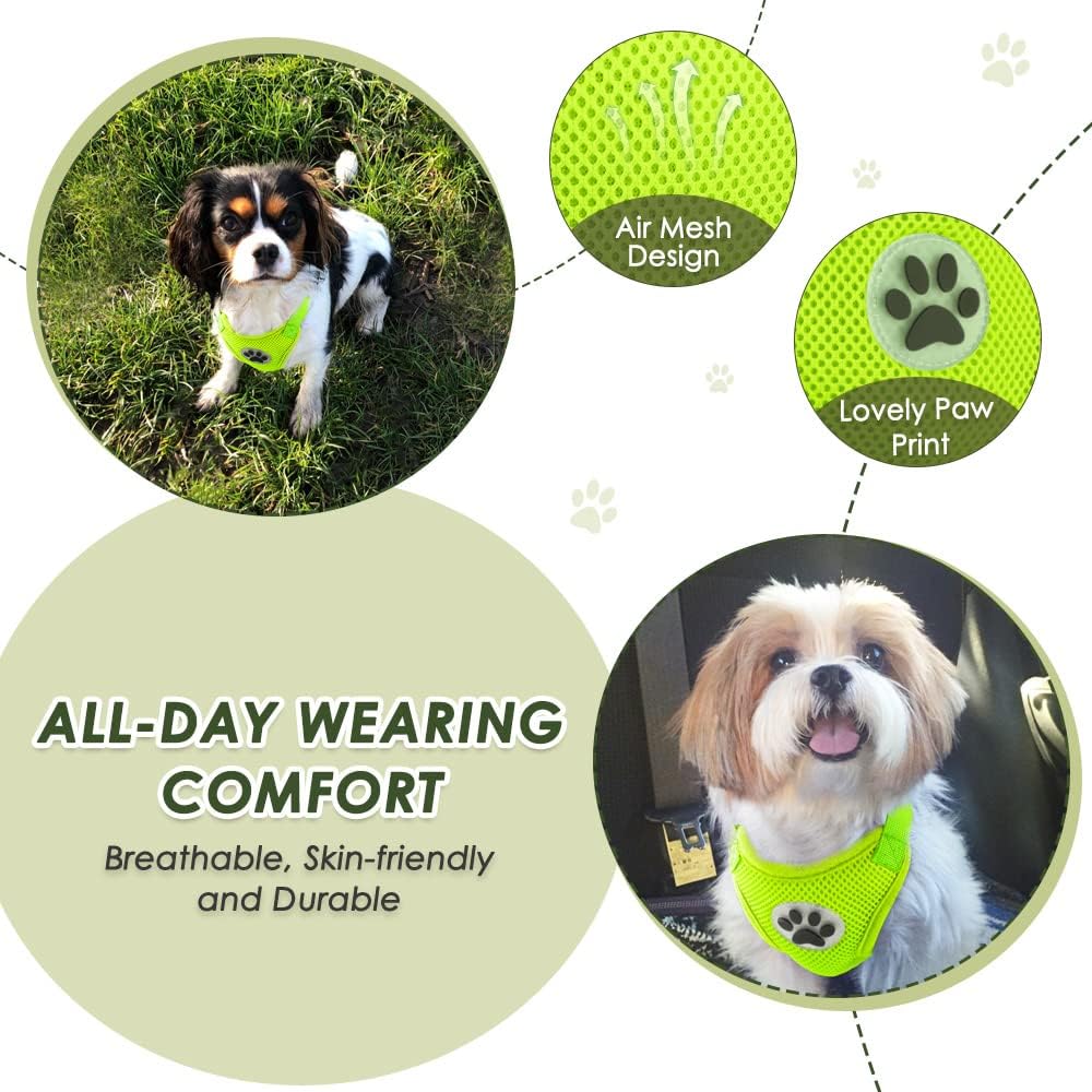 SlowTon Dog Seat Belt Harness for Car, Dog Car Harness Adjustable Mesh Breathable & Dog Seatbelt Safety Tether with Elastic Bungee for Small Medium Large Pets(Lime, Double Clip, S) - Pet Explorer