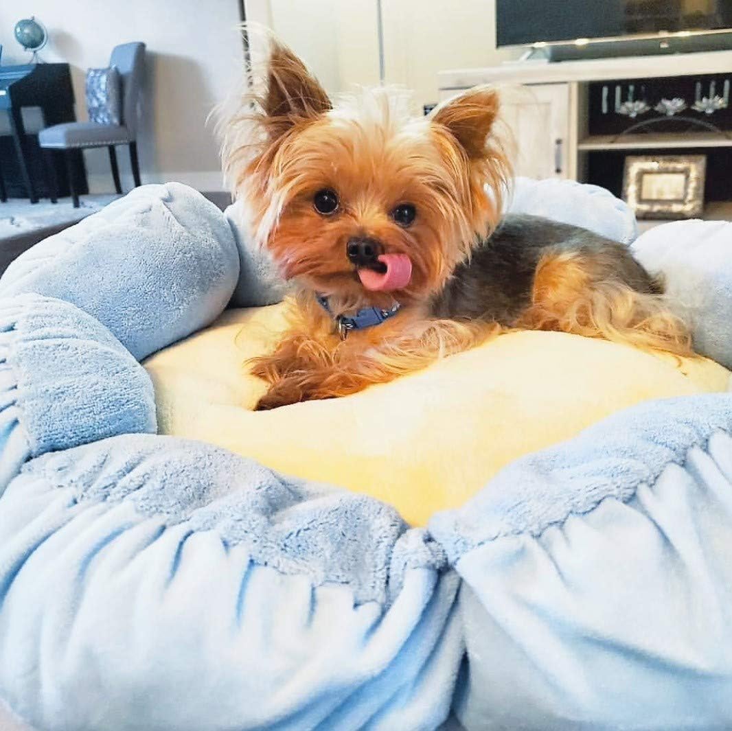 TONBO Soft Plush Small Cute and Cozy Nature Dog Cat Bed, Washer and Dryer Friendly (Blue Flower) - Pet Explorer