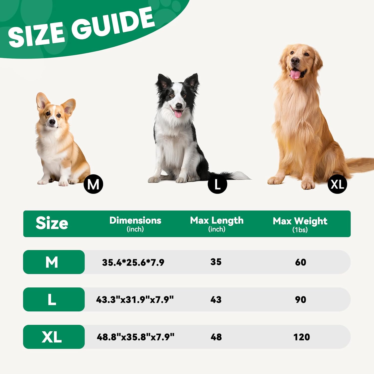 Elevated Dog Bed Raised Outdoor Dog Cot for Medium Dogs, Installation Requires No Tools, Frame with Washable Cooling Breathable Mesh Anti-Slip Feet, Indoor Pet Bed, Green, 35.4 Inches - Pet Explorer