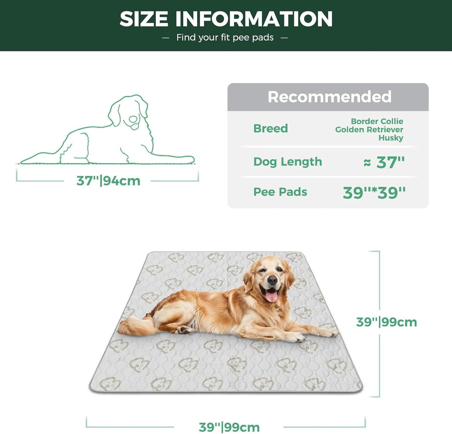 FXW Washable Pee Pads for Dogs, Puppy Pads with Super Absorbent, Specifically Designed for Potty Training, 39" Square, Khaki, 1 Pack - Pet Explorer
