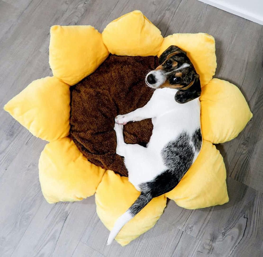 TONBO Soft Plush Small Cute and Cozy Nature Dog Cat Bed, Washer and Dryer Friendly (Sunflower) - Pet Explorer