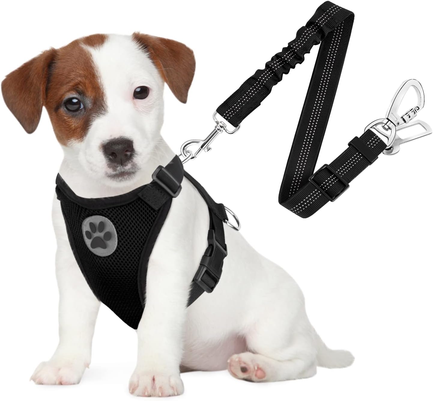 SlowTon Dog Seat Belt Harness for Car, Dog Car Harness Adjustable Mesh Breathable & Dog Seatbelt Safety Tether with Elastic Bungee for Small Medium Large Pets(Black, Double Clip, S) - Pet Explorer
