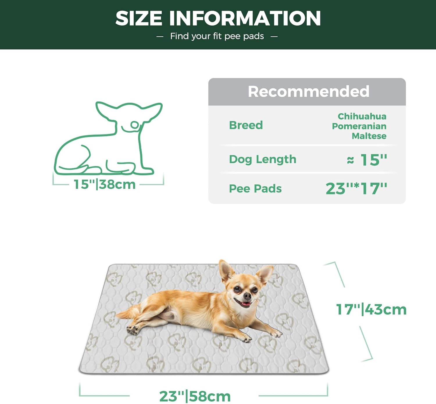 FXW Washable Pee Pads for Dogs, Puppy Pads with Super Absorbent, Specifically Designed for 24inch Cages, 23" × 17" Rectangle, Khaki, 2 Packs - Pet Explorer
