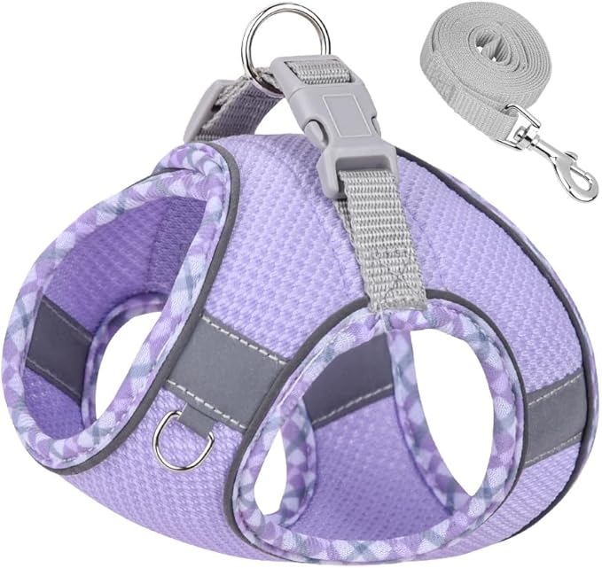 Dog Harness and Leash Set, No Pull Adjustable Reflective Pet Harness, Step in Vest Harness Easy Walk Dog Harness Outdoor Hiking Training for Small Medium Dogs, Cats(Purple,L)