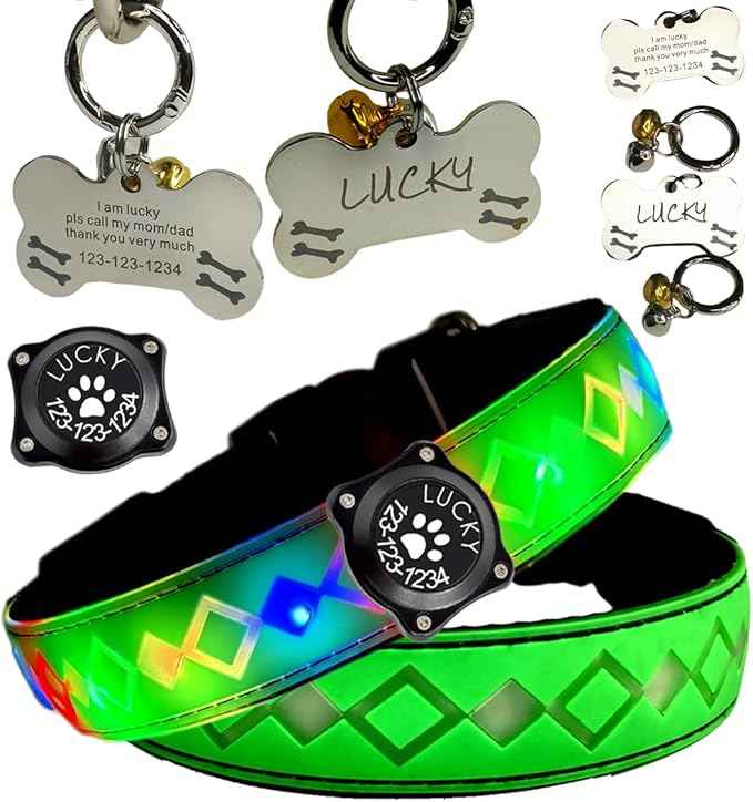 LED Dog Collar with AirTag Holder and Custom ID Tag, 15 Light Modes, Waterproof, Multiple Colors (Green Pro, L(15.7-19.7"))