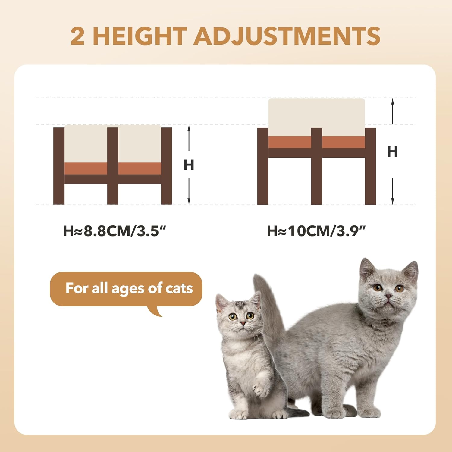 Ceramic 5.1inch Raised Dog and Cat Bowl Set, 2 Heights Elevated Wooden Stand for Puppy, Kitty, Cats, Weighted Pet Food and Water Dishes(5.1'',13.5oz, Vanilla White) - Pet Explorer