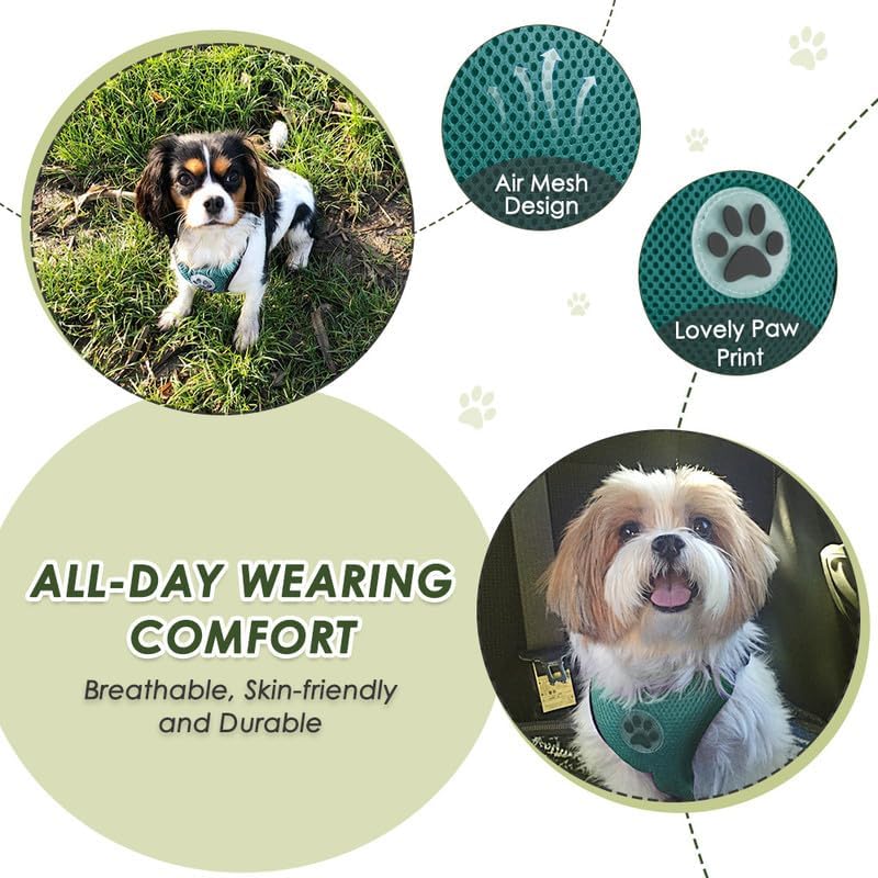 SlowTon Dog Seat Belt Harness for Car, Dog Car Harness Adjustable Mesh Breathable & Dog Seatbelt Safety Tether with Elastic Bungee for Small Medium Large Pets(Green, Double Clip, XXXS) - Pet Explorer