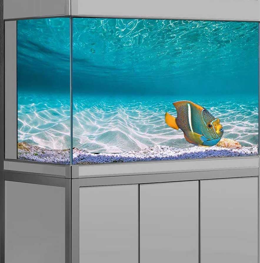 72X18IN Natural Undersea Aquarium Background, Undersea Beach Fish Tank Background, with 8 EVA Double-Sided Tape - Pet Explorer